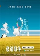 ʮһ] 弾